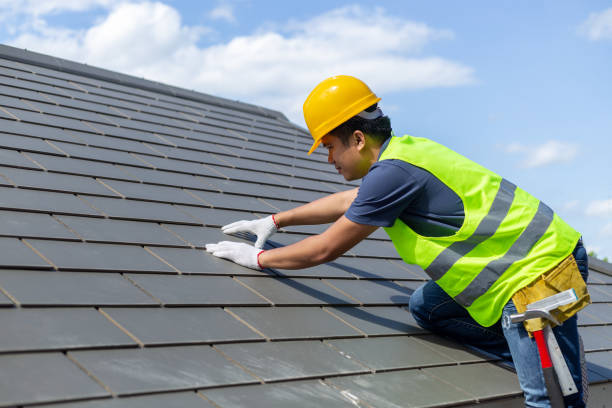 Best Solar Panel Roofing Installation  in Burr Ridge, IL