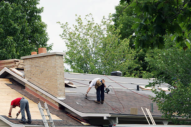 Best 4 Ply Roofing  in Burr Ridge, IL